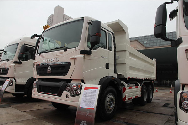 Euro 5 HOWO Dump Truck 340HP丨2019丨29000KM 3